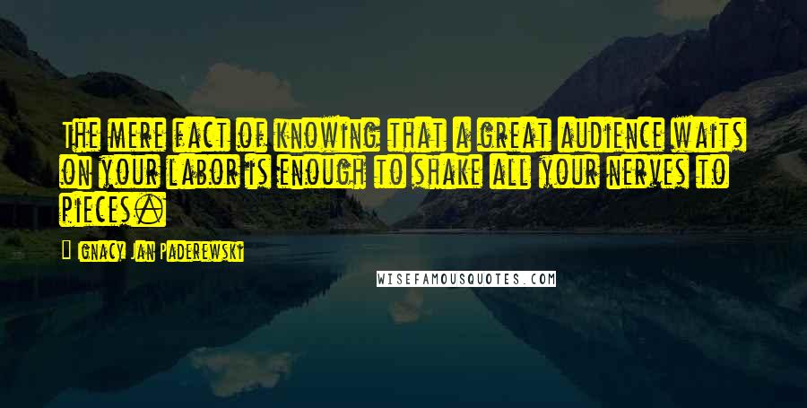 Ignacy Jan Paderewski Quotes: The mere fact of knowing that a great audience waits on your labor is enough to shake all your nerves to pieces.