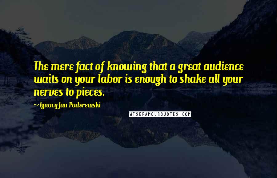 Ignacy Jan Paderewski Quotes: The mere fact of knowing that a great audience waits on your labor is enough to shake all your nerves to pieces.