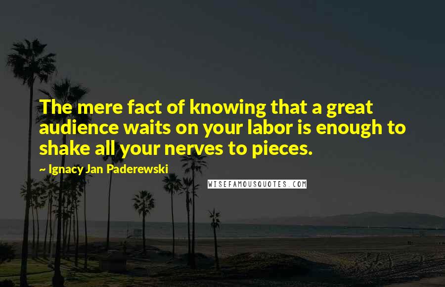 Ignacy Jan Paderewski Quotes: The mere fact of knowing that a great audience waits on your labor is enough to shake all your nerves to pieces.