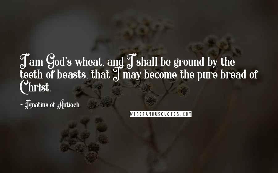 Ignatius Of Antioch Quotes: I am God's wheat, and I shall be ground by the teeth of beasts, that I may become the pure bread of Christ.