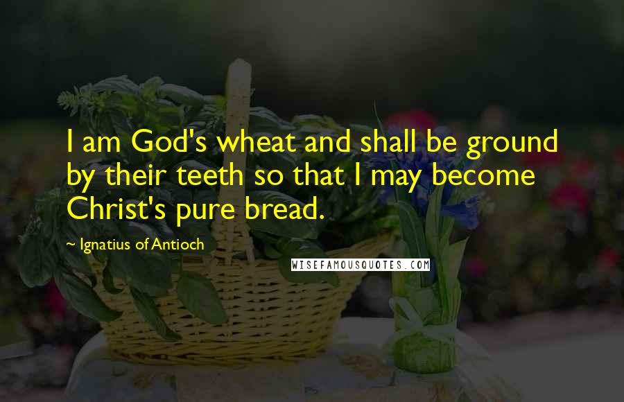 Ignatius Of Antioch Quotes: I am God's wheat and shall be ground by their teeth so that I may become Christ's pure bread.