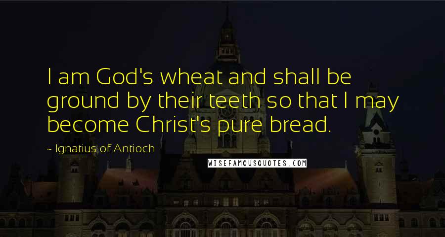 Ignatius Of Antioch Quotes: I am God's wheat and shall be ground by their teeth so that I may become Christ's pure bread.