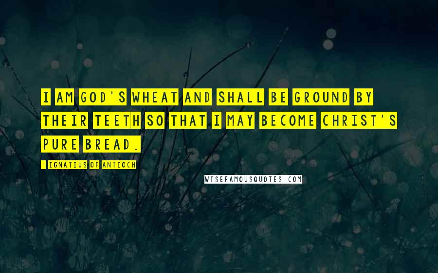 Ignatius Of Antioch Quotes: I am God's wheat and shall be ground by their teeth so that I may become Christ's pure bread.