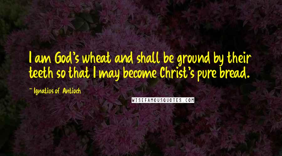 Ignatius Of Antioch Quotes: I am God's wheat and shall be ground by their teeth so that I may become Christ's pure bread.