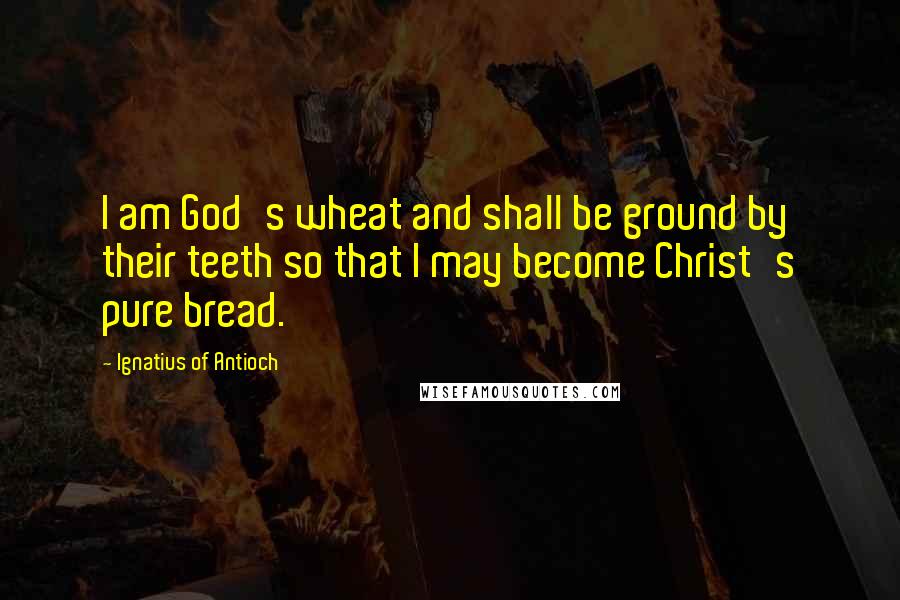 Ignatius Of Antioch Quotes: I am God's wheat and shall be ground by their teeth so that I may become Christ's pure bread.