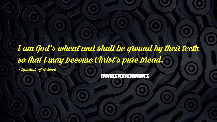 Ignatius Of Antioch Quotes: I am God's wheat and shall be ground by their teeth so that I may become Christ's pure bread.