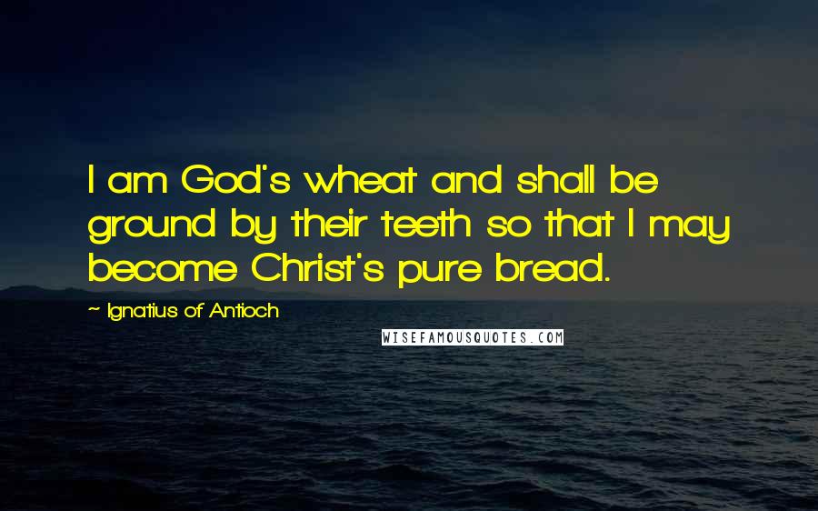 Ignatius Of Antioch Quotes: I am God's wheat and shall be ground by their teeth so that I may become Christ's pure bread.