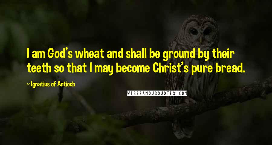 Ignatius Of Antioch Quotes: I am God's wheat and shall be ground by their teeth so that I may become Christ's pure bread.