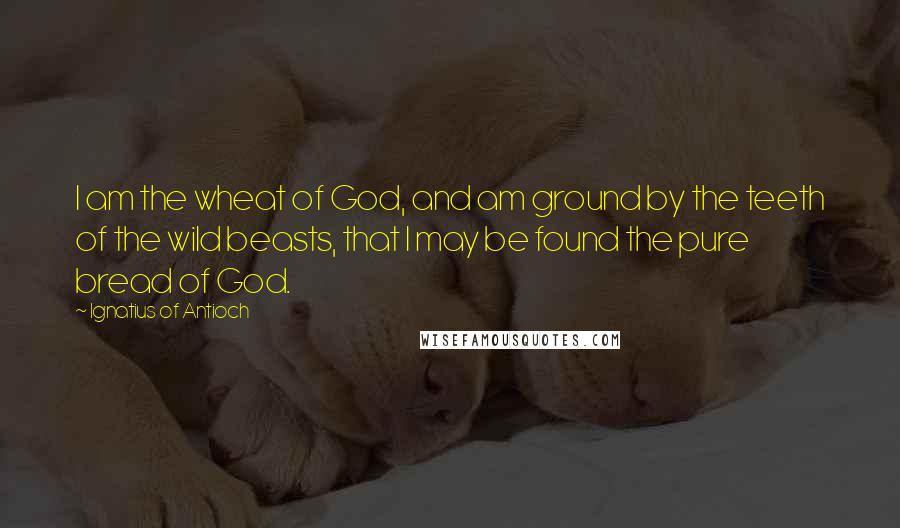 Ignatius Of Antioch Quotes: I am the wheat of God, and am ground by the teeth of the wild beasts, that I may be found the pure bread of God.