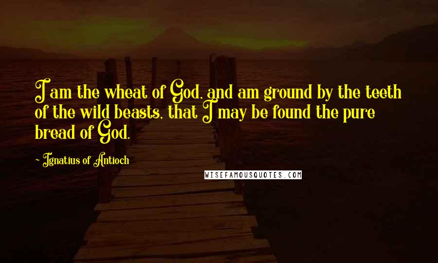 Ignatius Of Antioch Quotes: I am the wheat of God, and am ground by the teeth of the wild beasts, that I may be found the pure bread of God.