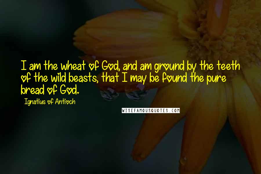Ignatius Of Antioch Quotes: I am the wheat of God, and am ground by the teeth of the wild beasts, that I may be found the pure bread of God.