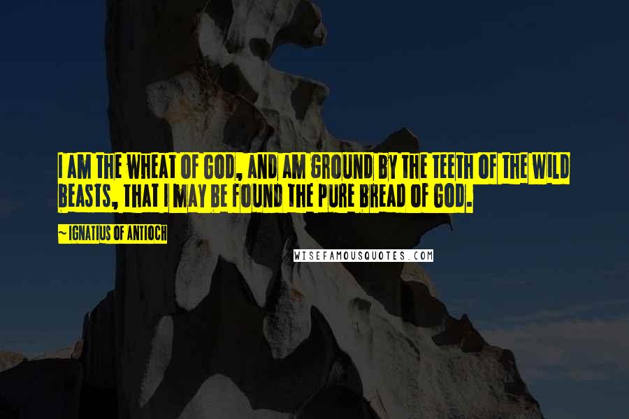 Ignatius Of Antioch Quotes: I am the wheat of God, and am ground by the teeth of the wild beasts, that I may be found the pure bread of God.