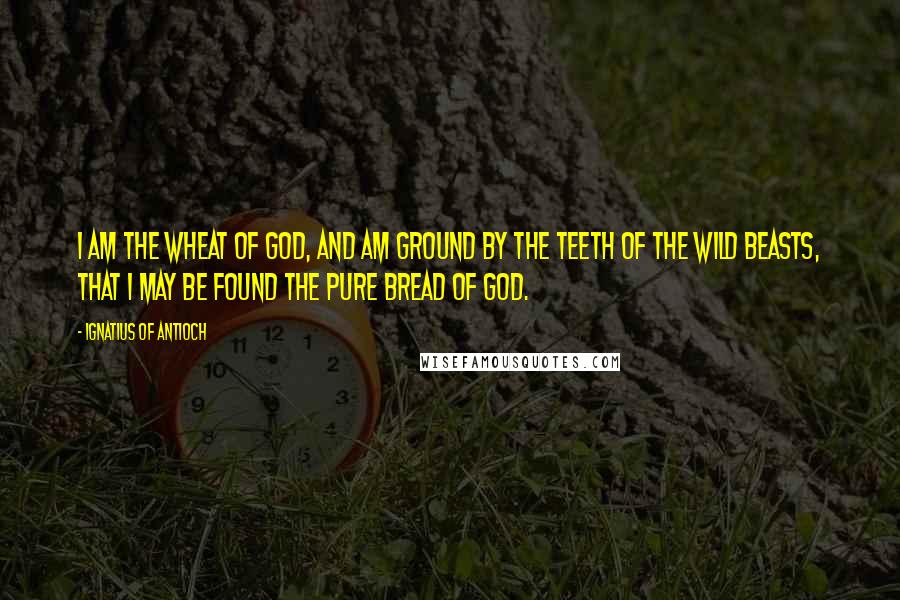 Ignatius Of Antioch Quotes: I am the wheat of God, and am ground by the teeth of the wild beasts, that I may be found the pure bread of God.