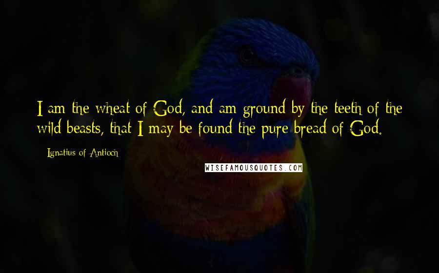 Ignatius Of Antioch Quotes: I am the wheat of God, and am ground by the teeth of the wild beasts, that I may be found the pure bread of God.