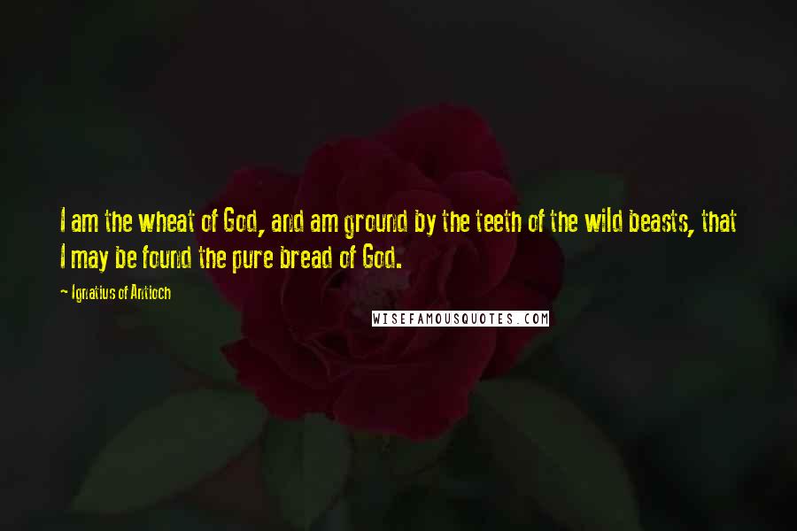 Ignatius Of Antioch Quotes: I am the wheat of God, and am ground by the teeth of the wild beasts, that I may be found the pure bread of God.
