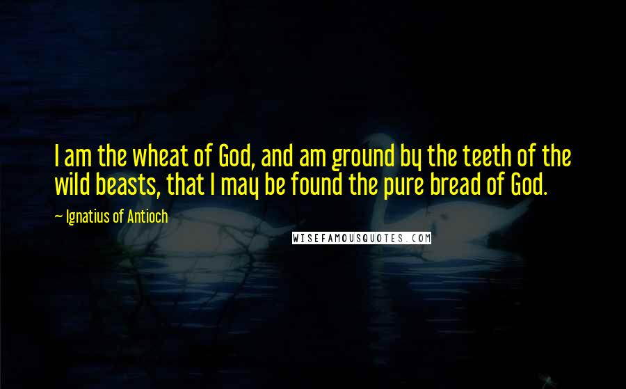 Ignatius Of Antioch Quotes: I am the wheat of God, and am ground by the teeth of the wild beasts, that I may be found the pure bread of God.
