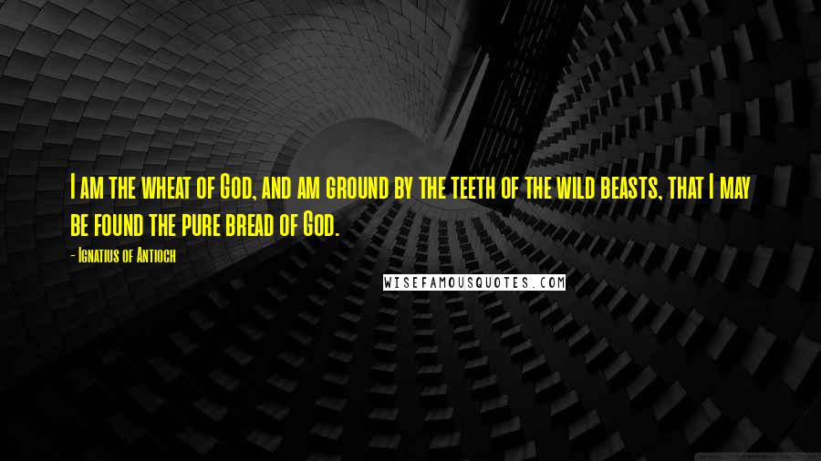 Ignatius Of Antioch Quotes: I am the wheat of God, and am ground by the teeth of the wild beasts, that I may be found the pure bread of God.