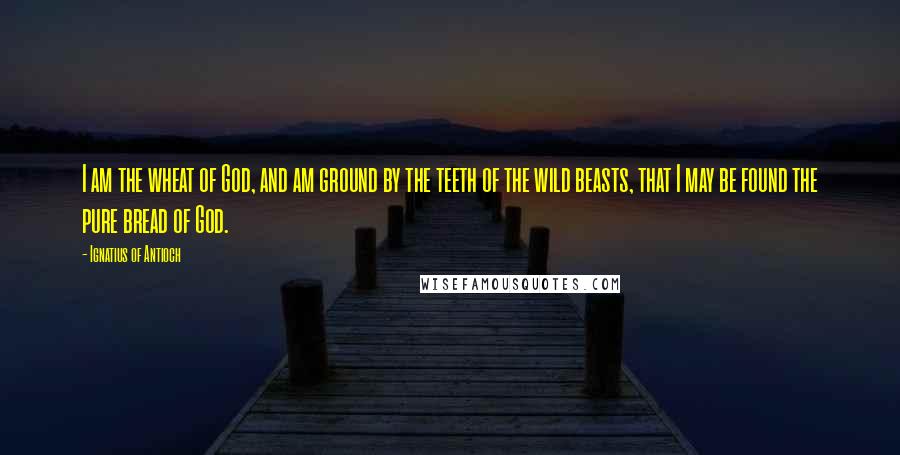 Ignatius Of Antioch Quotes: I am the wheat of God, and am ground by the teeth of the wild beasts, that I may be found the pure bread of God.