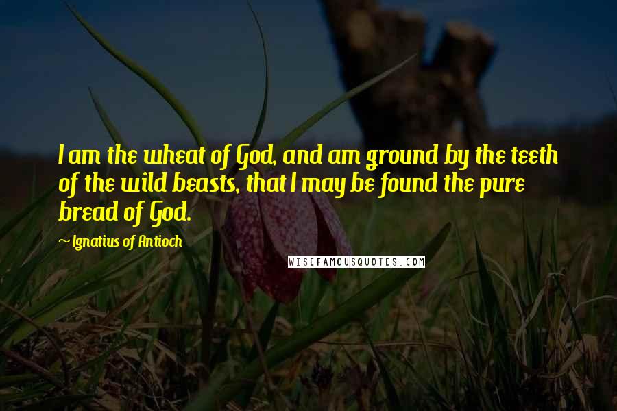 Ignatius Of Antioch Quotes: I am the wheat of God, and am ground by the teeth of the wild beasts, that I may be found the pure bread of God.