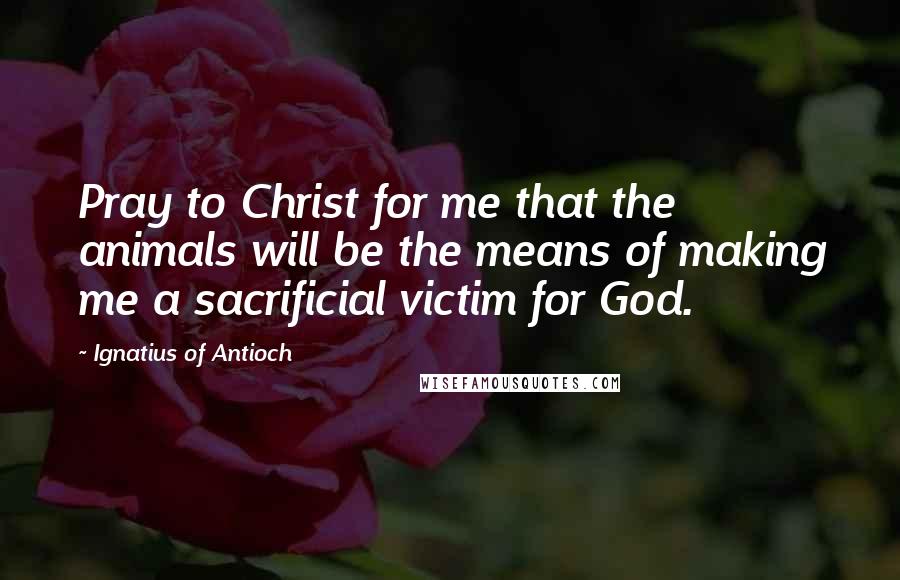 Ignatius Of Antioch Quotes: Pray to Christ for me that the animals will be the means of making me a sacrificial victim for God.