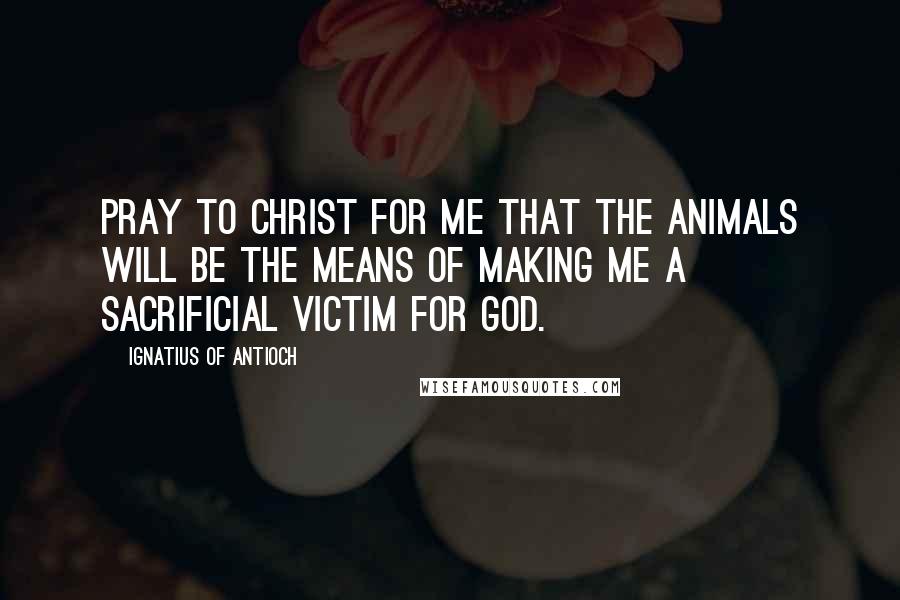 Ignatius Of Antioch Quotes: Pray to Christ for me that the animals will be the means of making me a sacrificial victim for God.