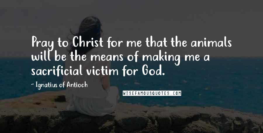 Ignatius Of Antioch Quotes: Pray to Christ for me that the animals will be the means of making me a sacrificial victim for God.