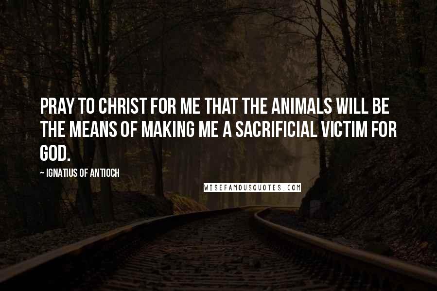 Ignatius Of Antioch Quotes: Pray to Christ for me that the animals will be the means of making me a sacrificial victim for God.