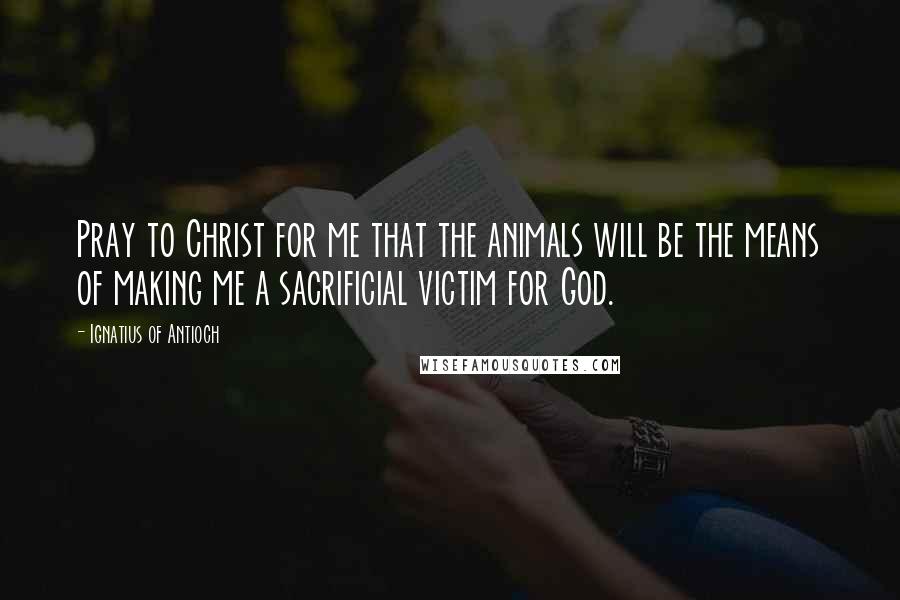 Ignatius Of Antioch Quotes: Pray to Christ for me that the animals will be the means of making me a sacrificial victim for God.