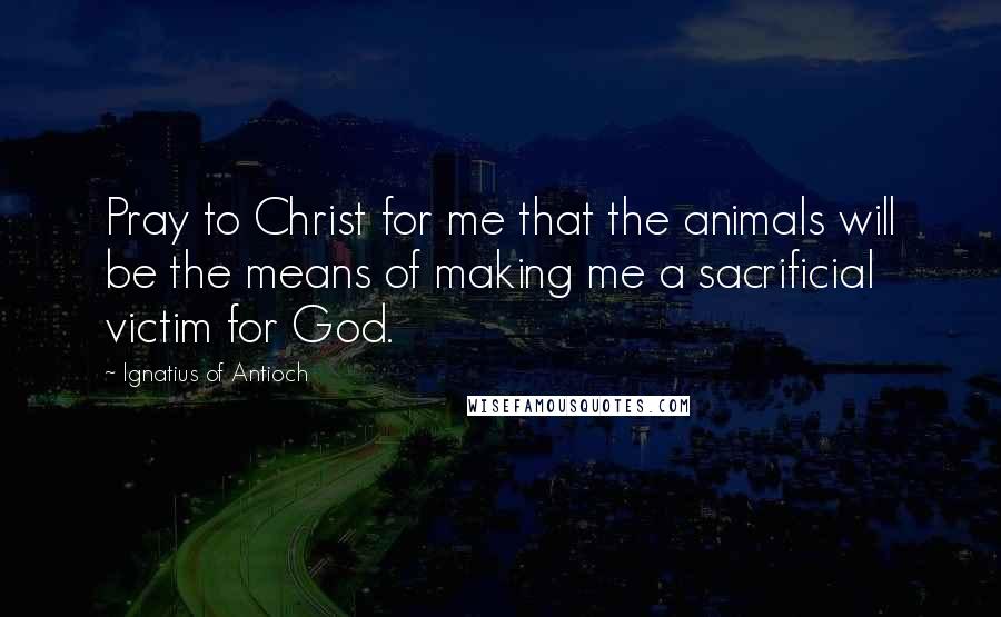 Ignatius Of Antioch Quotes: Pray to Christ for me that the animals will be the means of making me a sacrificial victim for God.