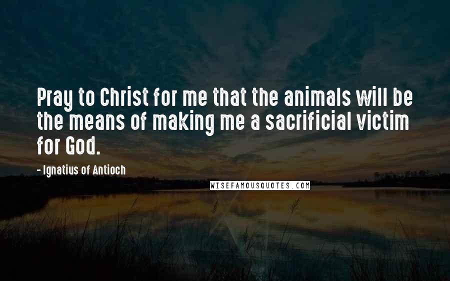 Ignatius Of Antioch Quotes: Pray to Christ for me that the animals will be the means of making me a sacrificial victim for God.