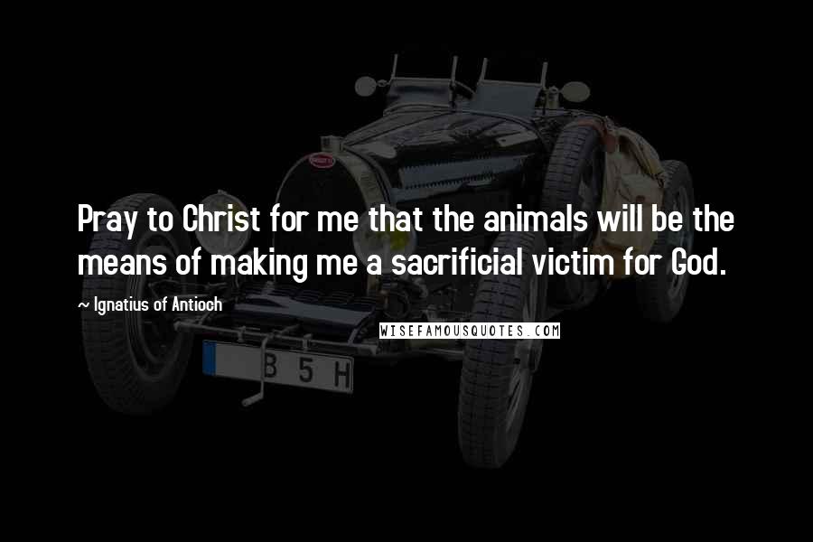 Ignatius Of Antioch Quotes: Pray to Christ for me that the animals will be the means of making me a sacrificial victim for God.