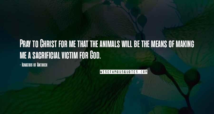 Ignatius Of Antioch Quotes: Pray to Christ for me that the animals will be the means of making me a sacrificial victim for God.