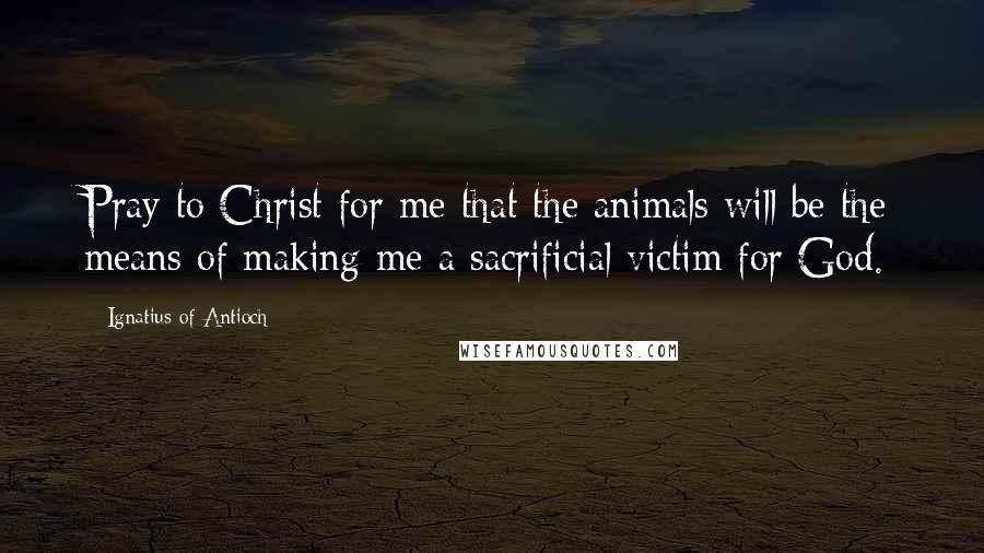 Ignatius Of Antioch Quotes: Pray to Christ for me that the animals will be the means of making me a sacrificial victim for God.