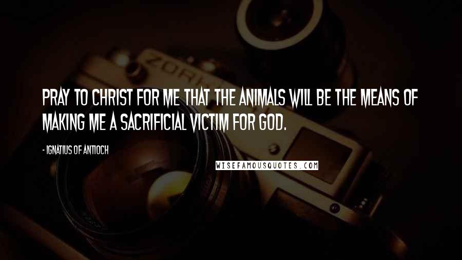 Ignatius Of Antioch Quotes: Pray to Christ for me that the animals will be the means of making me a sacrificial victim for God.