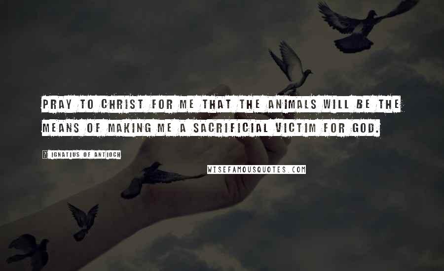 Ignatius Of Antioch Quotes: Pray to Christ for me that the animals will be the means of making me a sacrificial victim for God.