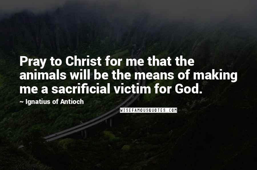 Ignatius Of Antioch Quotes: Pray to Christ for me that the animals will be the means of making me a sacrificial victim for God.