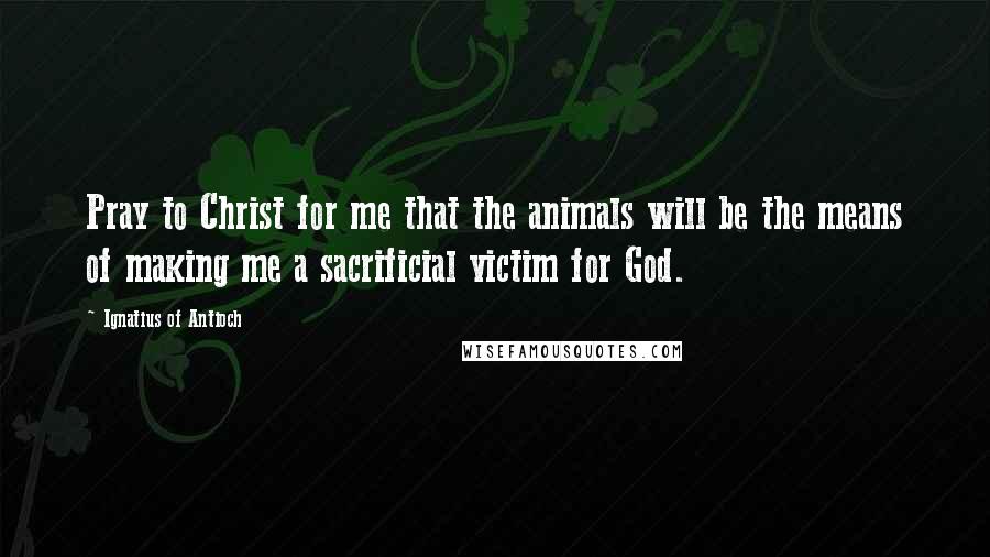 Ignatius Of Antioch Quotes: Pray to Christ for me that the animals will be the means of making me a sacrificial victim for God.