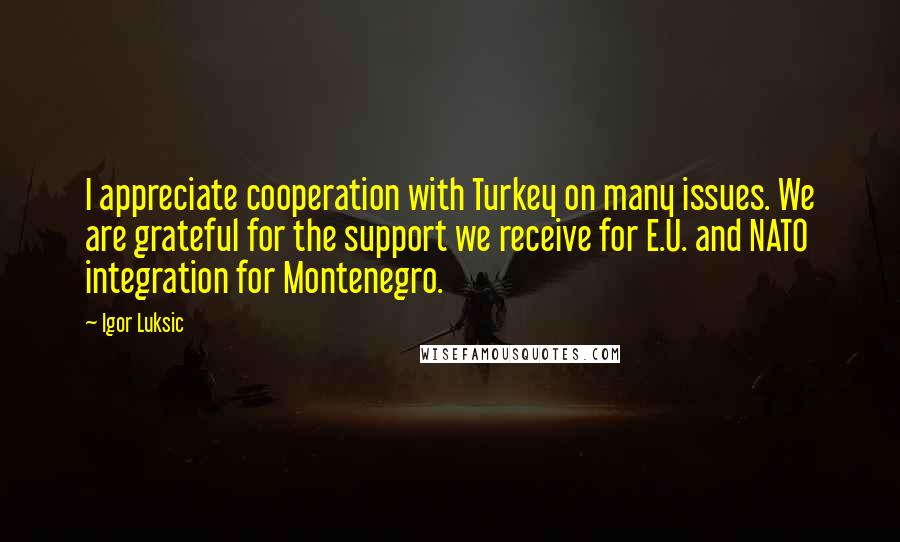 Igor Luksic Quotes: I appreciate cooperation with Turkey on many issues. We are grateful for the support we receive for E.U. and NATO integration for Montenegro.