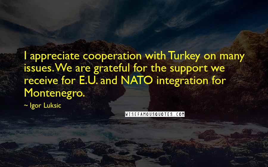 Igor Luksic Quotes: I appreciate cooperation with Turkey on many issues. We are grateful for the support we receive for E.U. and NATO integration for Montenegro.