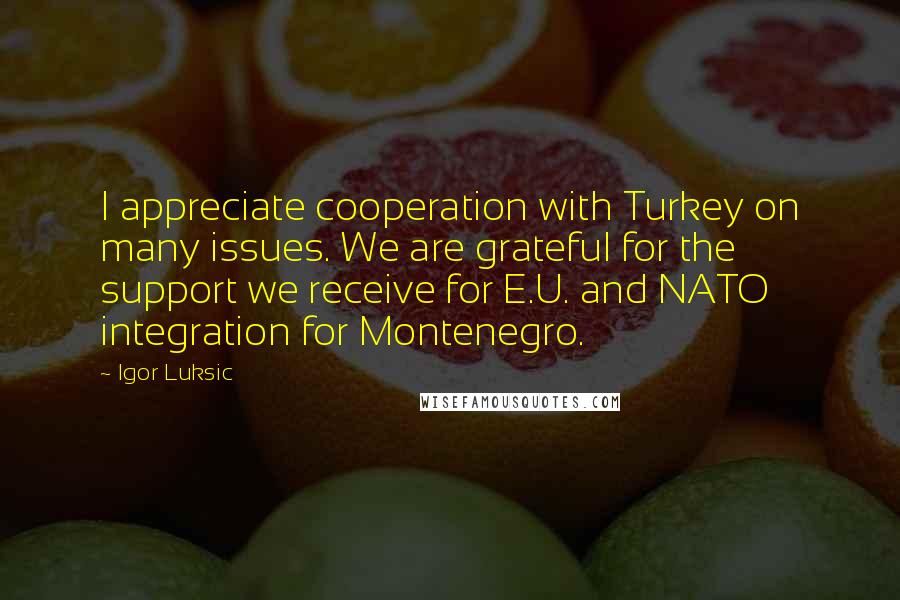 Igor Luksic Quotes: I appreciate cooperation with Turkey on many issues. We are grateful for the support we receive for E.U. and NATO integration for Montenegro.