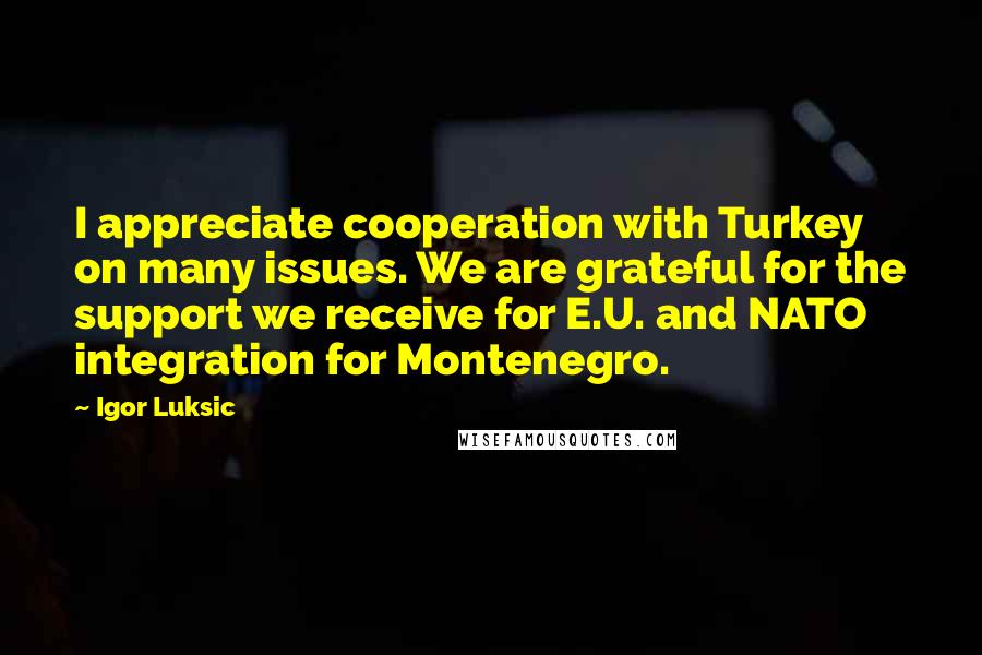 Igor Luksic Quotes: I appreciate cooperation with Turkey on many issues. We are grateful for the support we receive for E.U. and NATO integration for Montenegro.