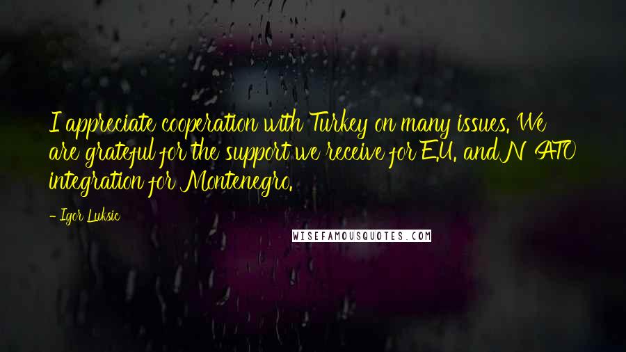 Igor Luksic Quotes: I appreciate cooperation with Turkey on many issues. We are grateful for the support we receive for E.U. and NATO integration for Montenegro.