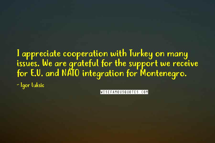 Igor Luksic Quotes: I appreciate cooperation with Turkey on many issues. We are grateful for the support we receive for E.U. and NATO integration for Montenegro.