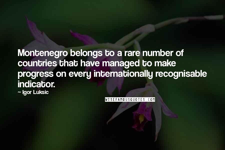 Igor Luksic Quotes: Montenegro belongs to a rare number of countries that have managed to make progress on every internationally recognisable indicator.