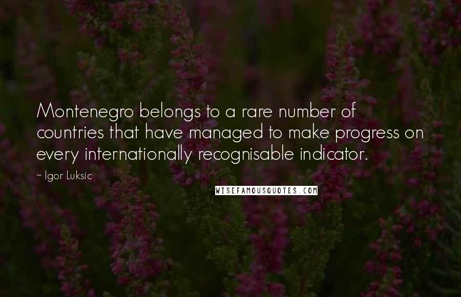 Igor Luksic Quotes: Montenegro belongs to a rare number of countries that have managed to make progress on every internationally recognisable indicator.
