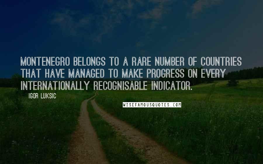 Igor Luksic Quotes: Montenegro belongs to a rare number of countries that have managed to make progress on every internationally recognisable indicator.