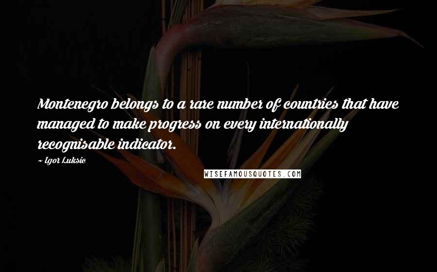 Igor Luksic Quotes: Montenegro belongs to a rare number of countries that have managed to make progress on every internationally recognisable indicator.