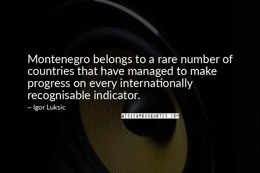 Igor Luksic Quotes: Montenegro belongs to a rare number of countries that have managed to make progress on every internationally recognisable indicator.