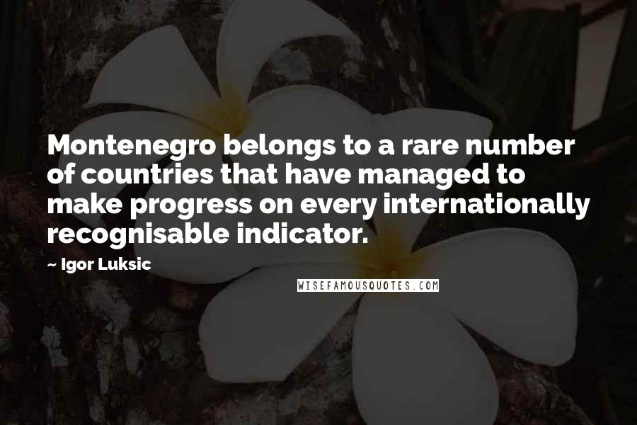 Igor Luksic Quotes: Montenegro belongs to a rare number of countries that have managed to make progress on every internationally recognisable indicator.