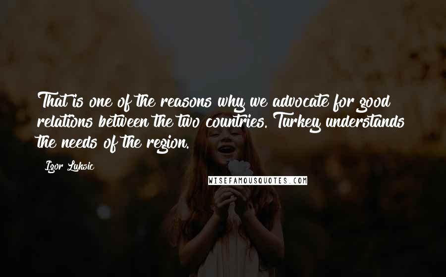 Igor Luksic Quotes: That is one of the reasons why we advocate for good relations between the two countries. Turkey understands the needs of the region.